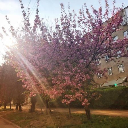 Арт Квартира В Центрі Міста אוזהורוד מראה חיצוני תמונה